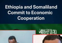 Ethiopia and Somaliland Commit to Economic Cooperation