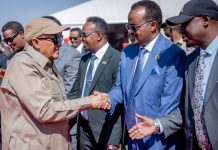 : * Horumarinta qaabka casriga ah ee beero-falashada iyo adeegsiga…”