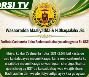 Maxay Ku Qaban Doontaa Xukuumadda Cirro Cashuurta Cusub Ee ku Soo Rogtay Dhacabka Somaliland?