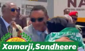 Qaabkii Maanta Cabdiraxmaan Cirro Dhiiqo Cagaha U Galiyey Dumarkii Iyo Wasiiraddii Habar'awal