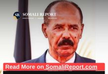 The UAE has port facilities in many places in the region, and African countries should ask why?