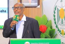 Qorshe Taariikhi ah:-Maxaad Ka Taqaan Prof. Eid Ali Ahmed Nidaamkii Uu Dejiyey Horumarinta Baanka Somaliland Iyo Hay’addaha Maaliyadda Dalka?
