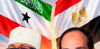 qorshe ku saabsan saldhigyo ciidan oo wadajir ah oo laga sameeyo jasiiradda Socotra iyo Somaliland,