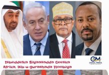 Siyaasadda Gobolka (Geeska Afrika), Ayaa wajahday weji cusu shir-madaxeedkii magaalada El Alamein Ee Masar,