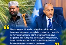 Xukuumaddii Hagoogane:- Ma Gashaanti Baan Ahay.? Xukuumaddii Hagoogane:- Ma Gashaanti Baan Ahay.?