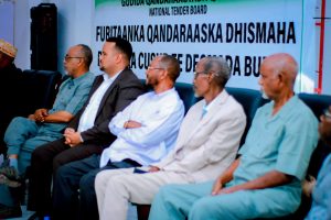 Muxuu Yahey Nidaam Qorshe Cusub Ee Lagu Soo Kordhiyey Bixinta Mashaariicda Dawladda Somaliland?